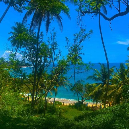 Bluewind Resort Тангалла Экстерьер фото