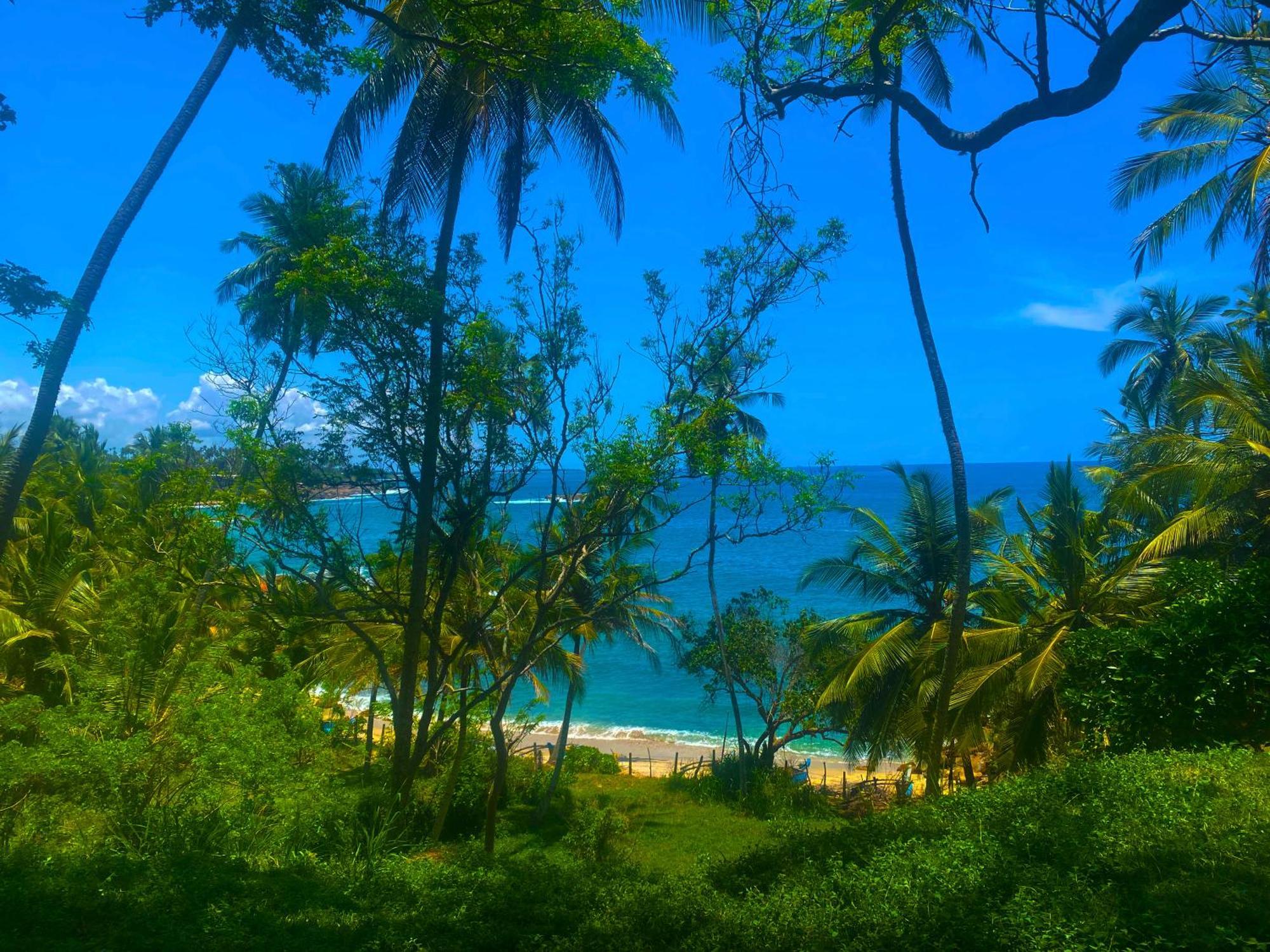 Bluewind Resort Тангалла Экстерьер фото