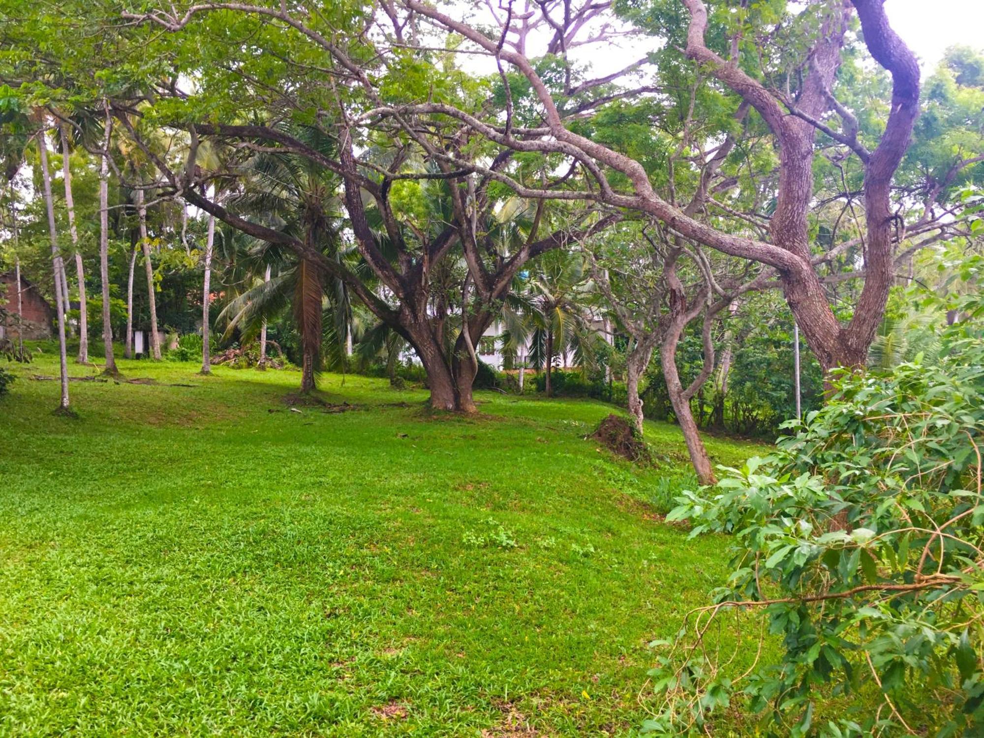 Bluewind Resort Тангалла Экстерьер фото
