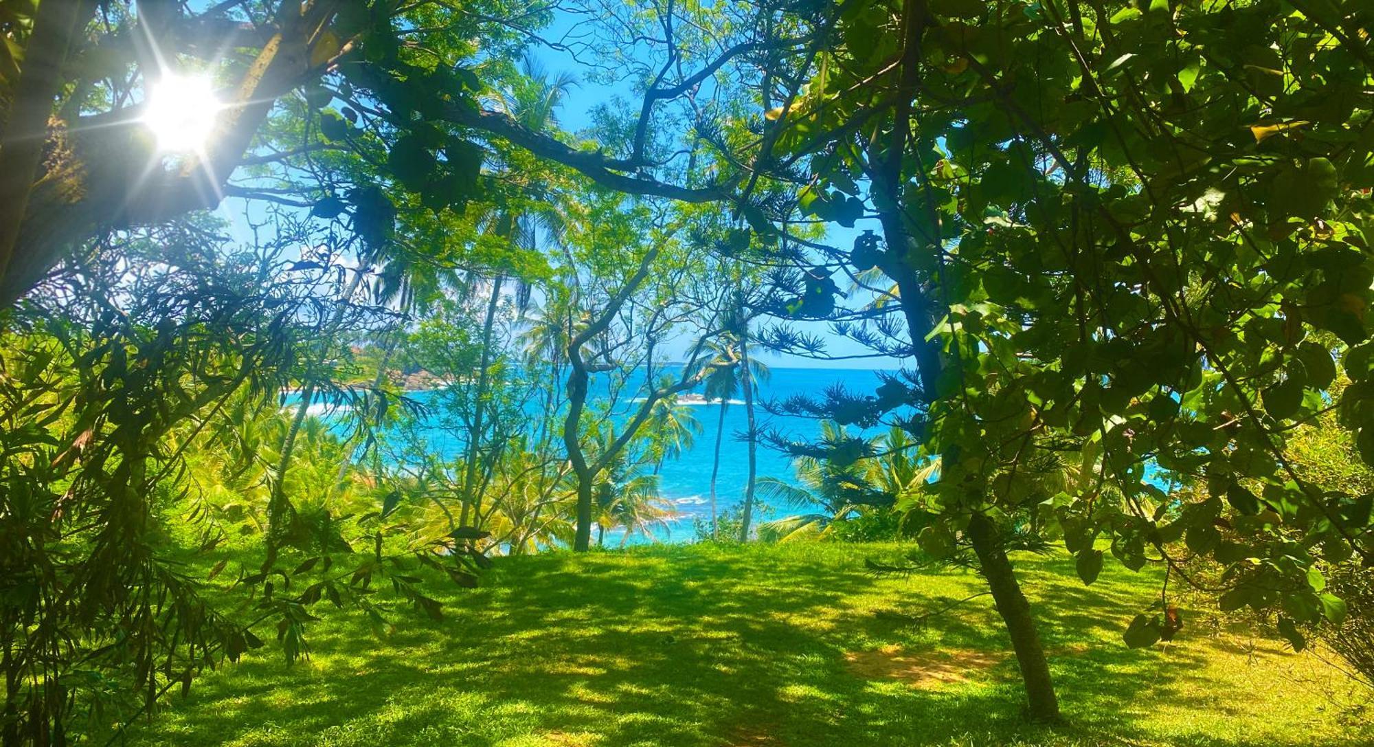 Bluewind Resort Тангалла Экстерьер фото