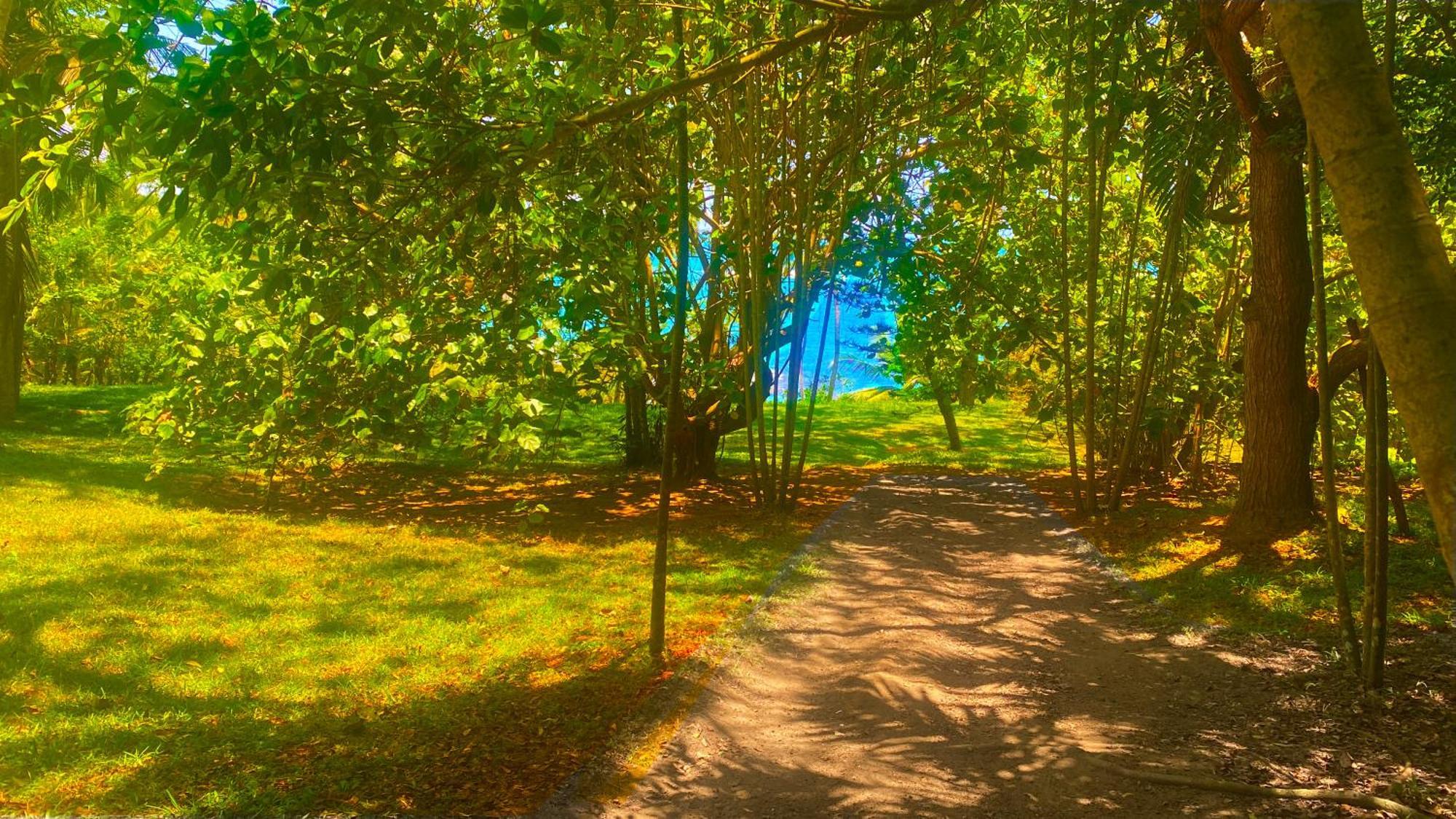 Bluewind Resort Тангалла Экстерьер фото