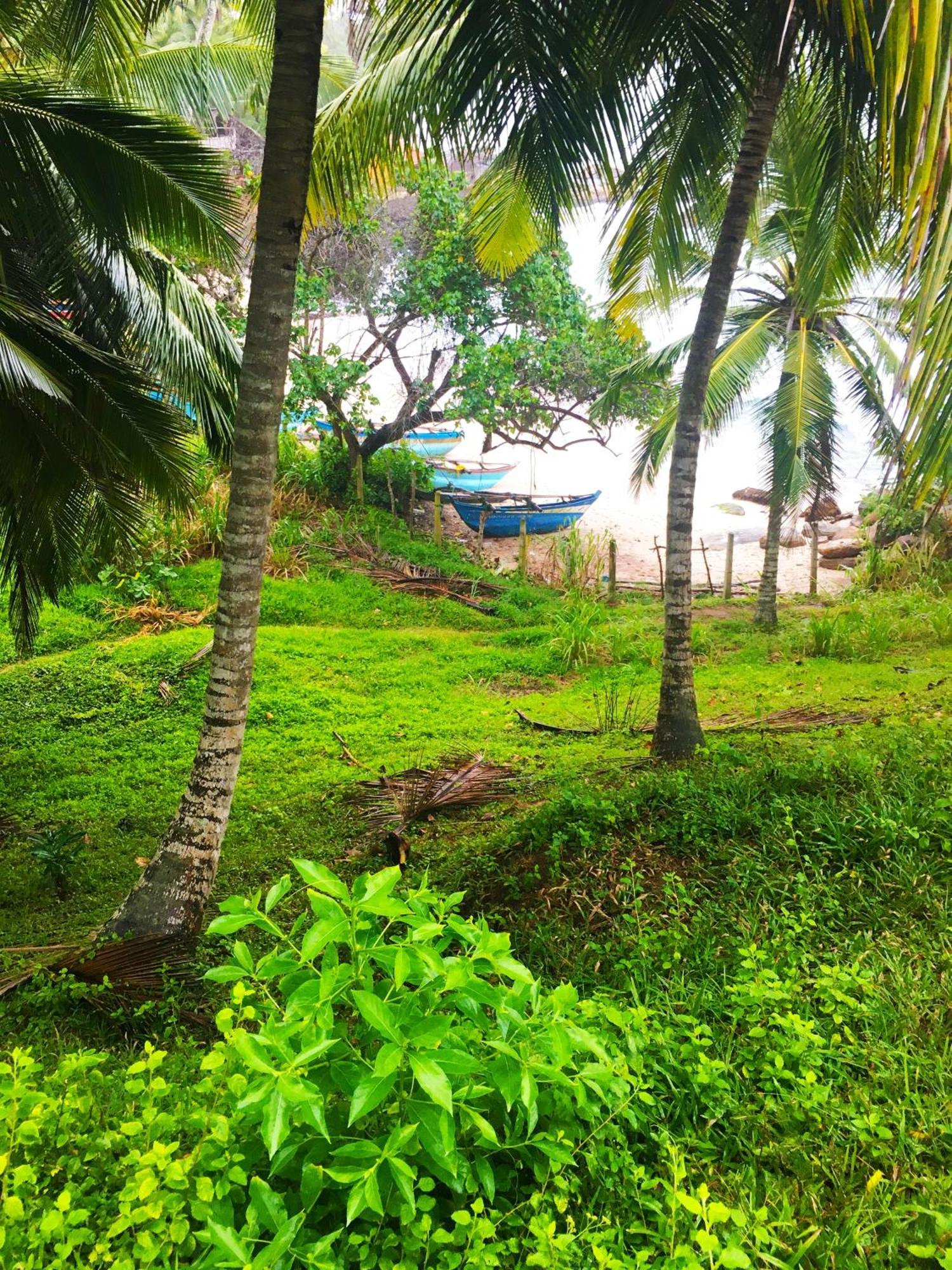Bluewind Resort Тангалла Экстерьер фото